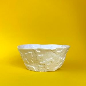 Bol porcelaine