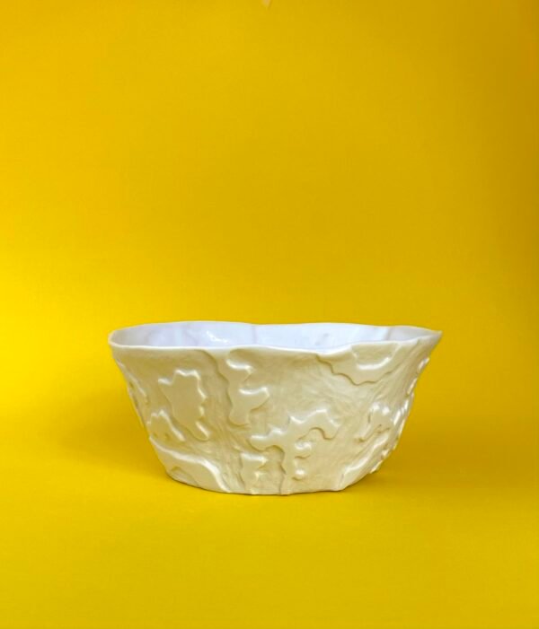 Bol porcelaine